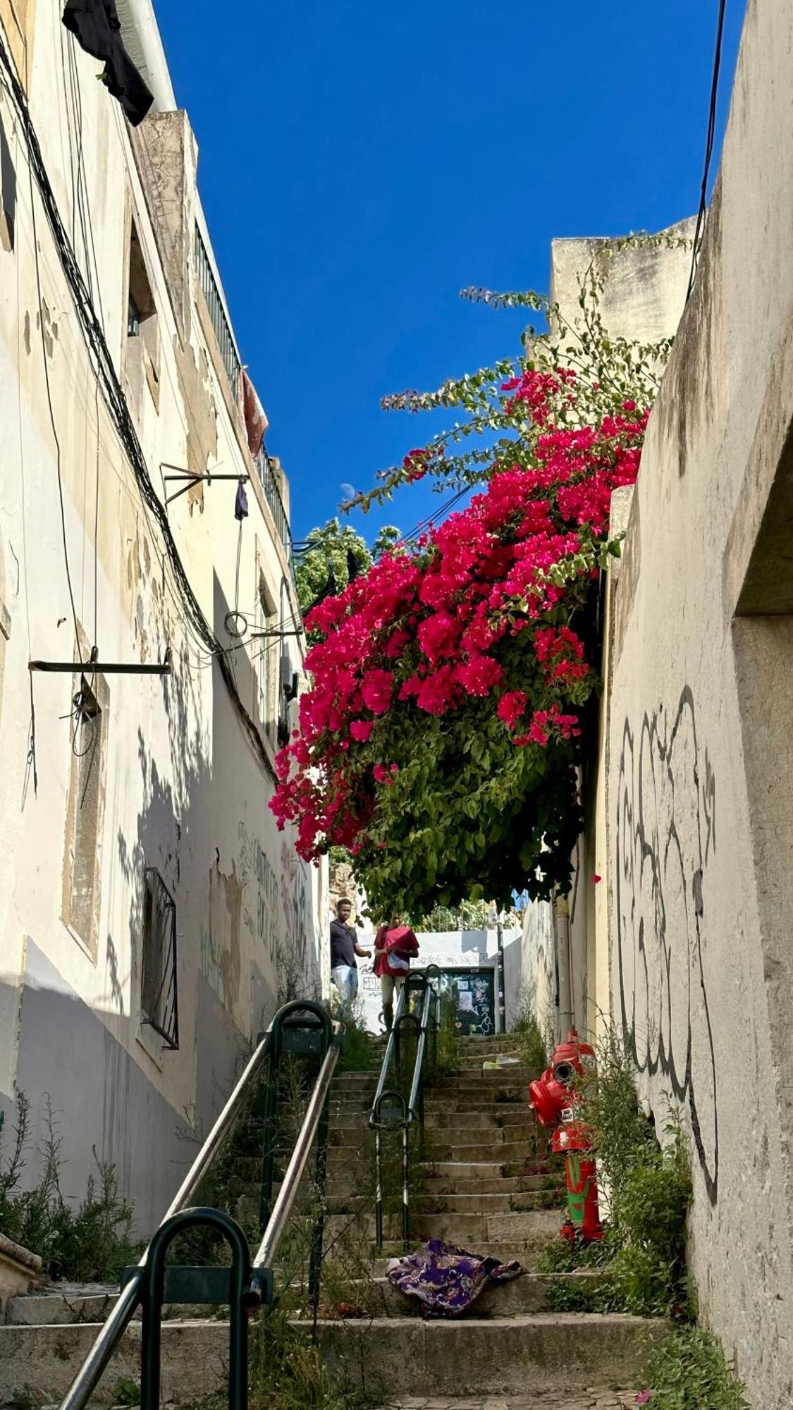 Castle Suites Lisbon Bagian luar foto
